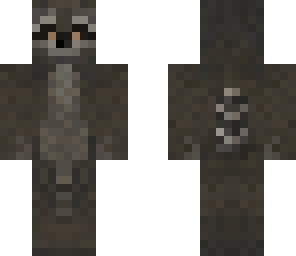 racoon