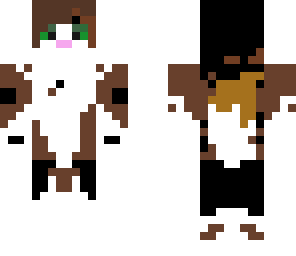 warriors spottedleaf now with tail