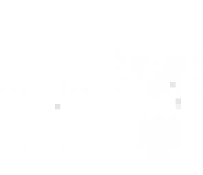 buhu 1