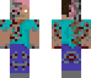 terminator steve