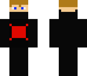 super spy ninja