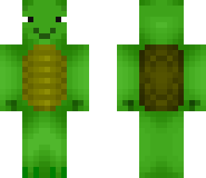 turtle dude