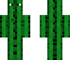 cool cactus