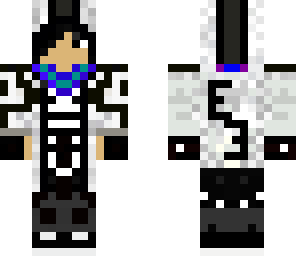 assassin enigma