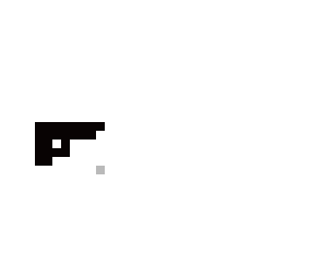 gun