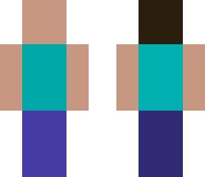 derp steve