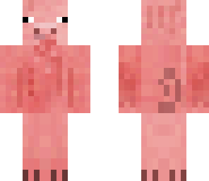 pig