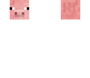 pig with tash sd13