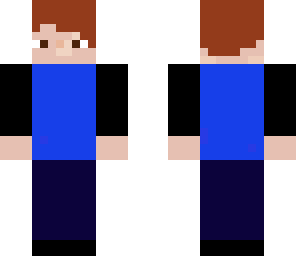 skychicken2