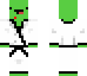 karate turtle
