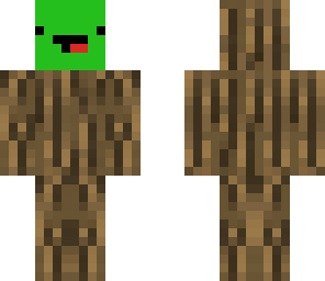 turtle camo 1