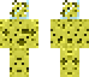 sponge in a glass hat