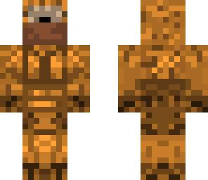 desert soldier