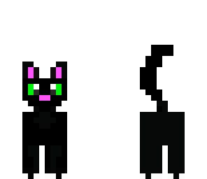 black cat