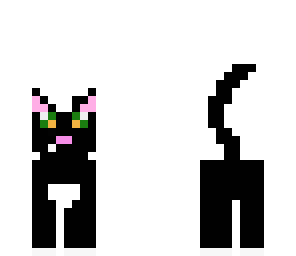 my cat putte