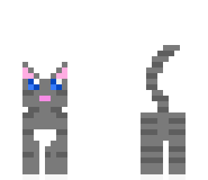 kitty
