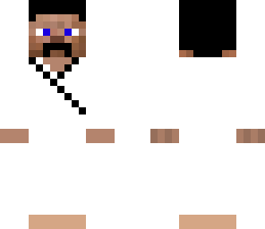 kung-fu steve