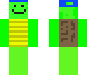 turtle with hat