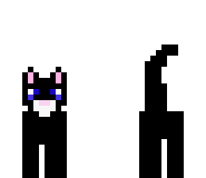 black cat