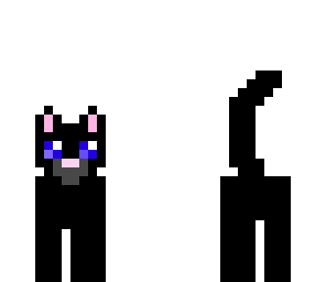 black cat