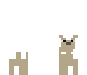 doggy