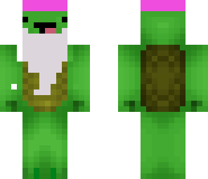 turtle wizard bro
