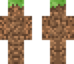 dirt or grass block