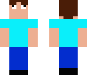 steve hd1