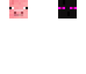 the edited floating ender pig