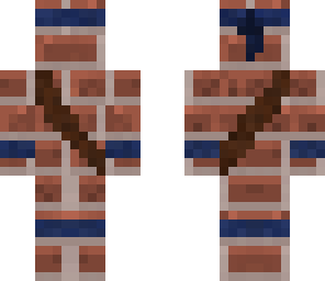 master brick ninja
