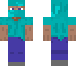 steveninja