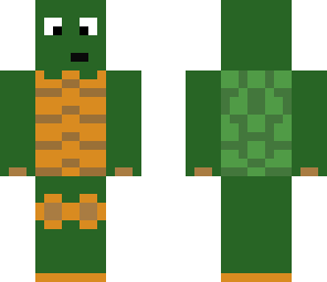 turtle with new eyes