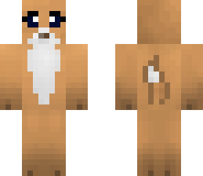 corgi 6