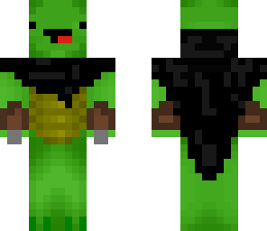 assassin turtle