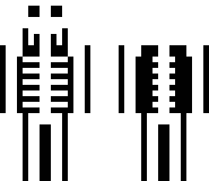 the skeleton