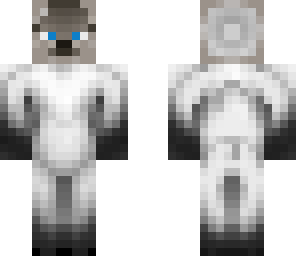 siamese cat