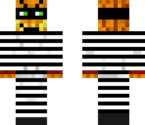 mr robber