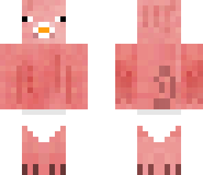 baby pig