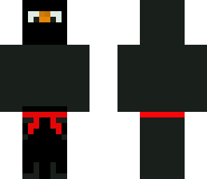ninja skin