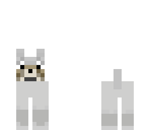 perrito
