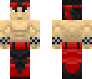 kung fu fighter