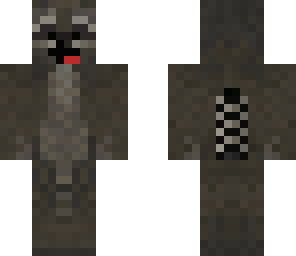 derp racoon
