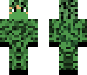camo informant