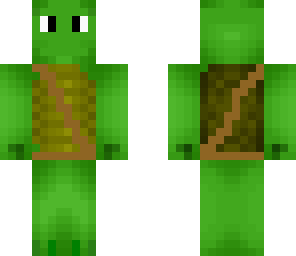 adventure turtle