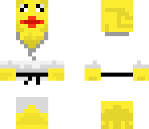 ninja duck