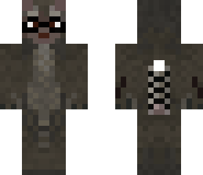 racoon