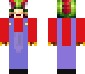 bowser encanador