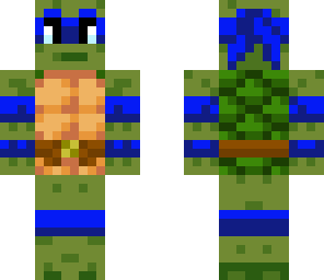 tortuga ninja