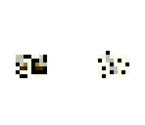 dalmatian