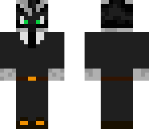 raccoon